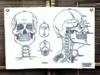 King's Kung Fu and Tai Chi Head Chart