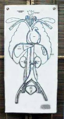 King's Kung Fu and Tai Chi Internal Organs Chart