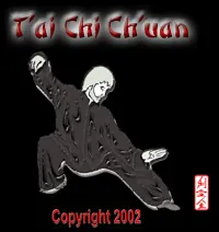 TaiChiManVideo.jpg (22984 bytes)